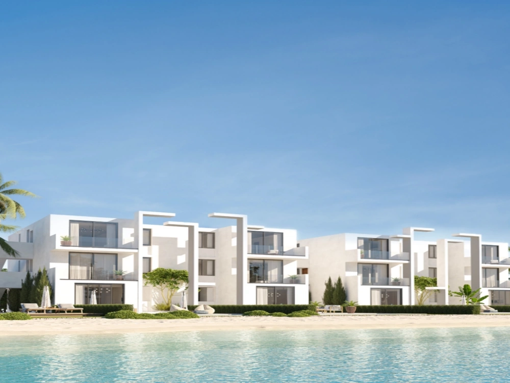 دي باي gallery image